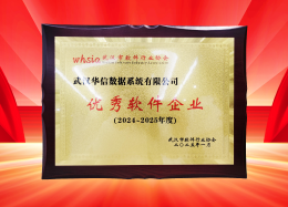 喜讯丨凯发K8国际数据获评2024~2025年度武汉市软件行业&ldquo;优秀企业&rdquo;、&ldquo;优秀工作者&rdquo;荣誉称号！